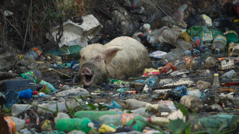 Photo credit: AP